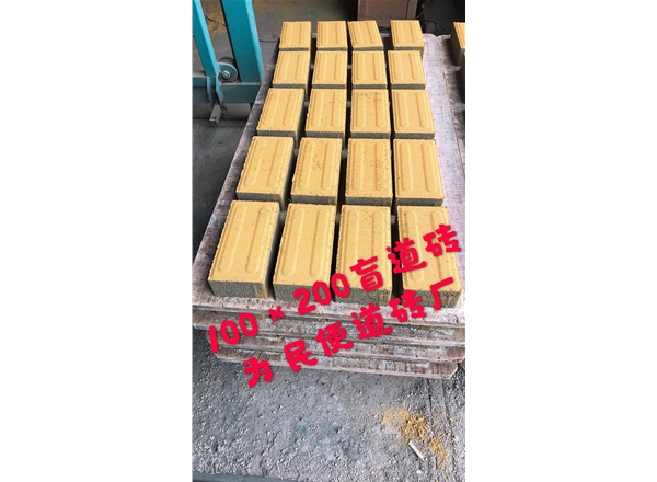 100×200盲道砖厂
